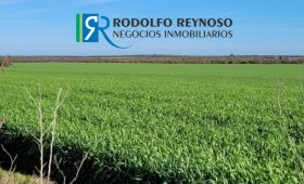 550 hectáreas en Entre Ríos